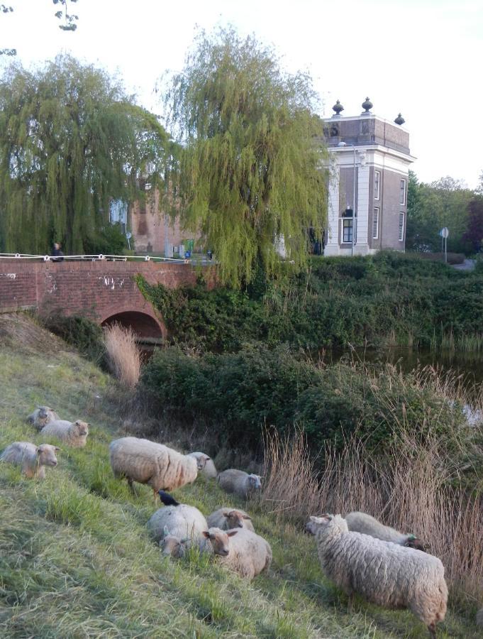 Logies De Zeeuwse Klei, Een Gezellig Jaren 30 Huis Middelbourg Extérieur photo